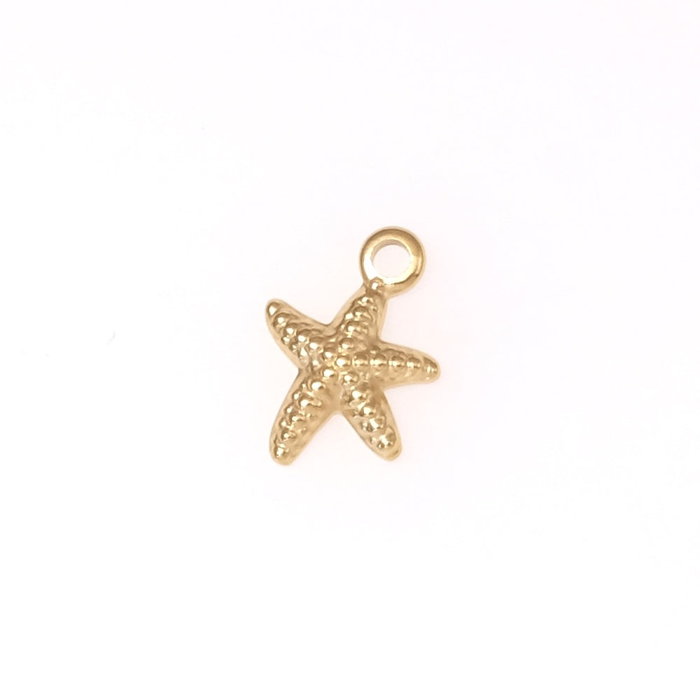 Petit Pendentif étoile de mer en acier inoxydable 304 Doré 14K
