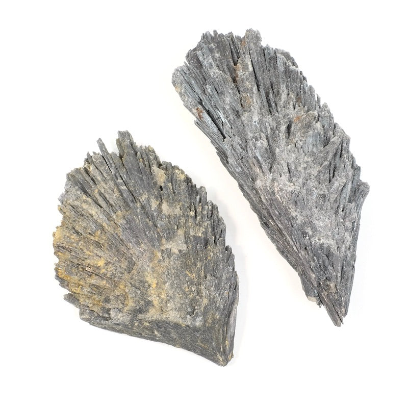 Cyanite noire - Pure Minéral