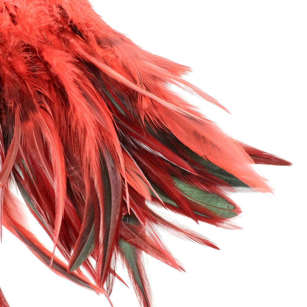 8 longues plumes Rouge et Noir