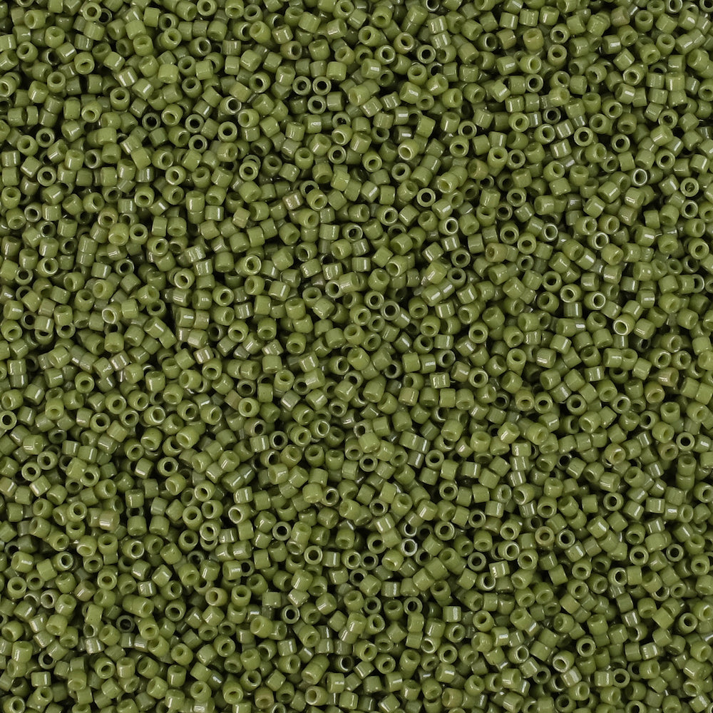 8 grammes de perles Miyuki Délica 11/0 Duracoat Opaque Dyed Olive DB2357