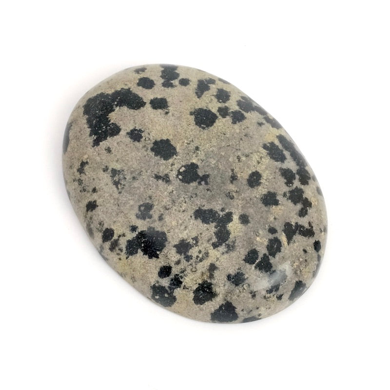 Cabochon pierre naturelle Ovale 30 x 40mm Jaspe Dalmatien