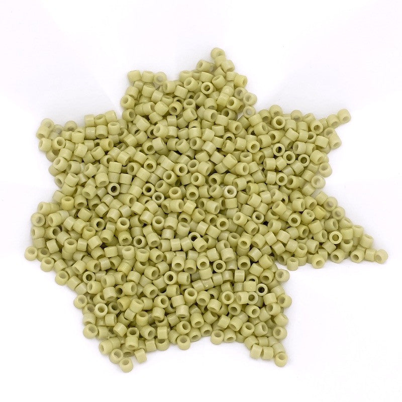 8 grams of Miyuki Délica 11/0 Duracoat Opaque Cactus N°2124 beads