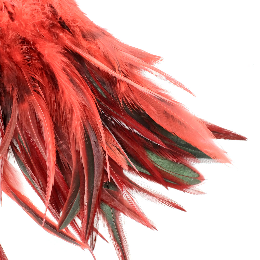 8 long feathers Red and Black